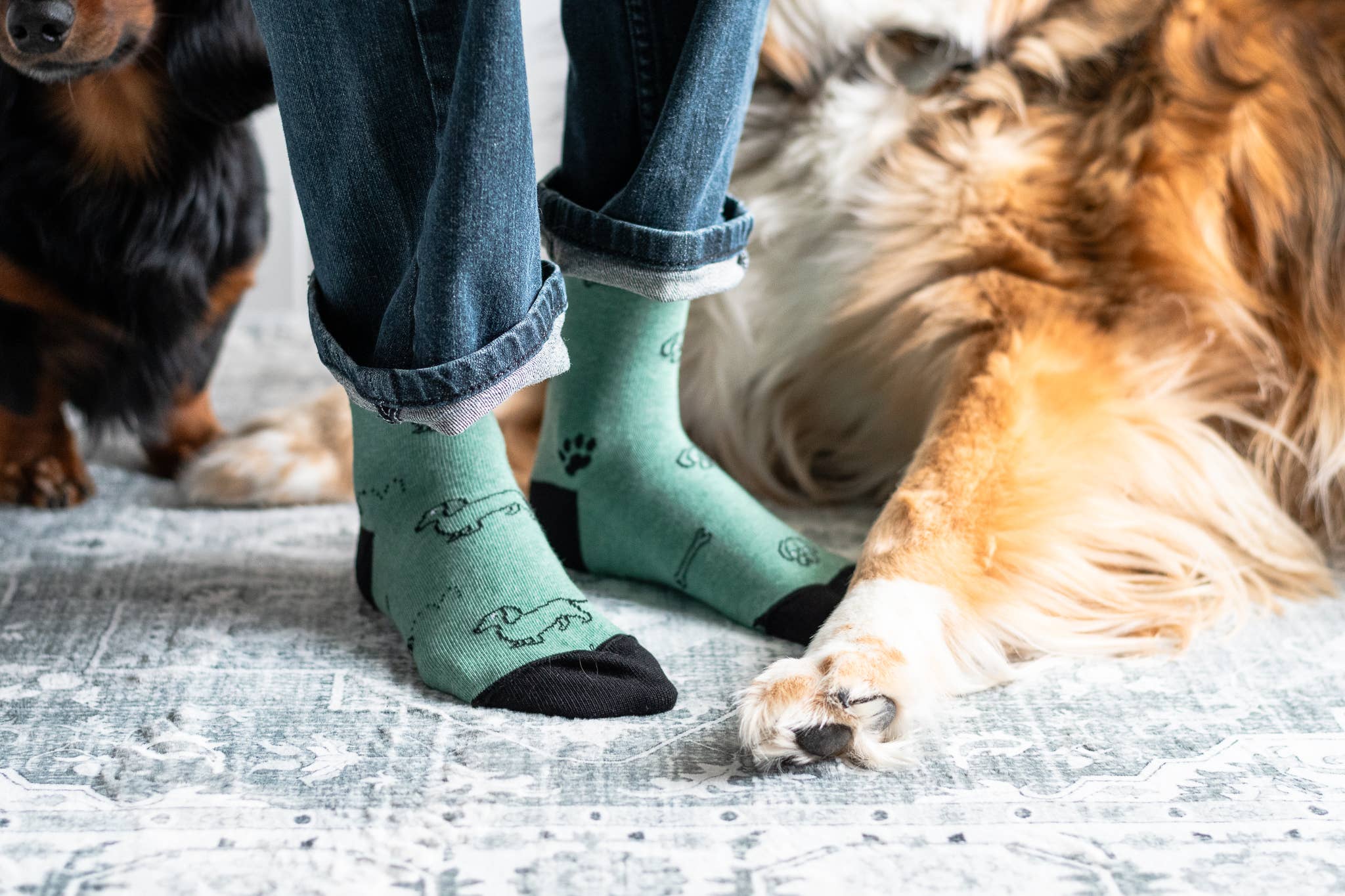 Friday Sock Co. - Chaussettes pour chien pour enfant