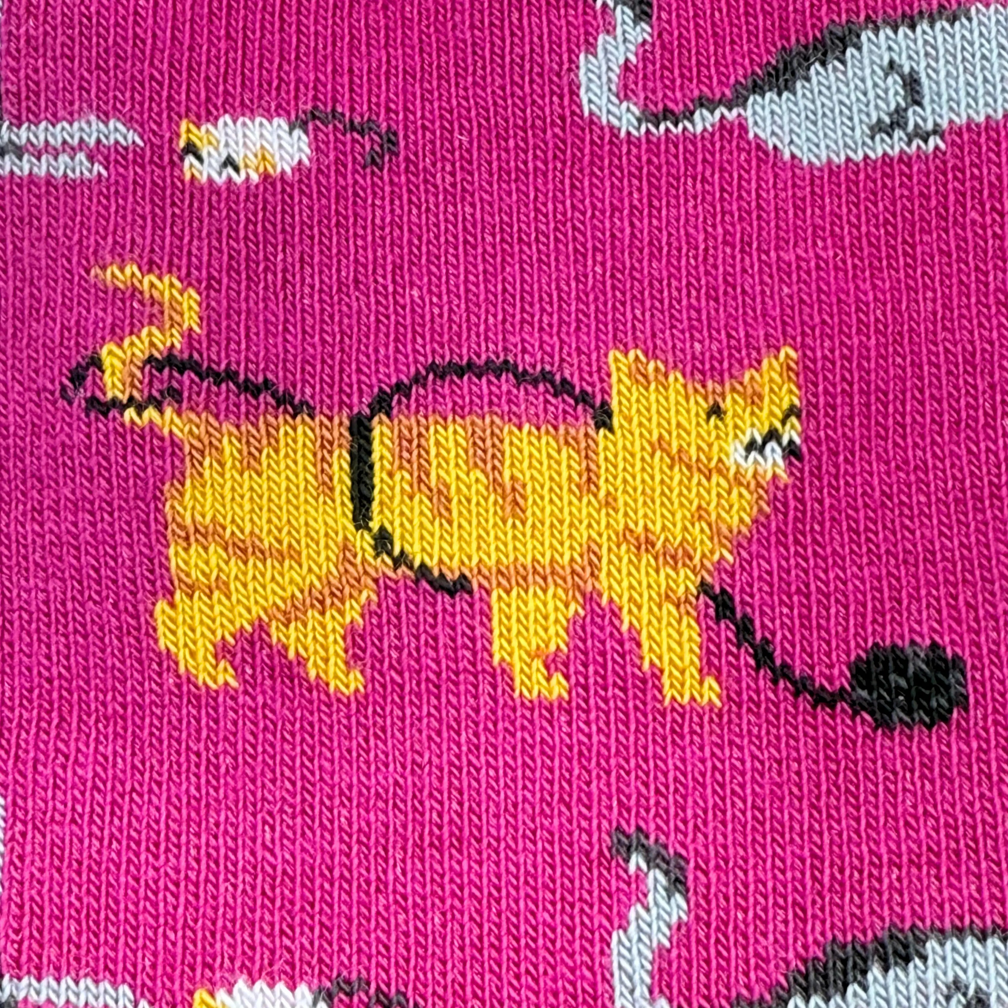 Friday Sock Co. - Chaussettes Chats Enfant: Moyen (Âge 4-7)