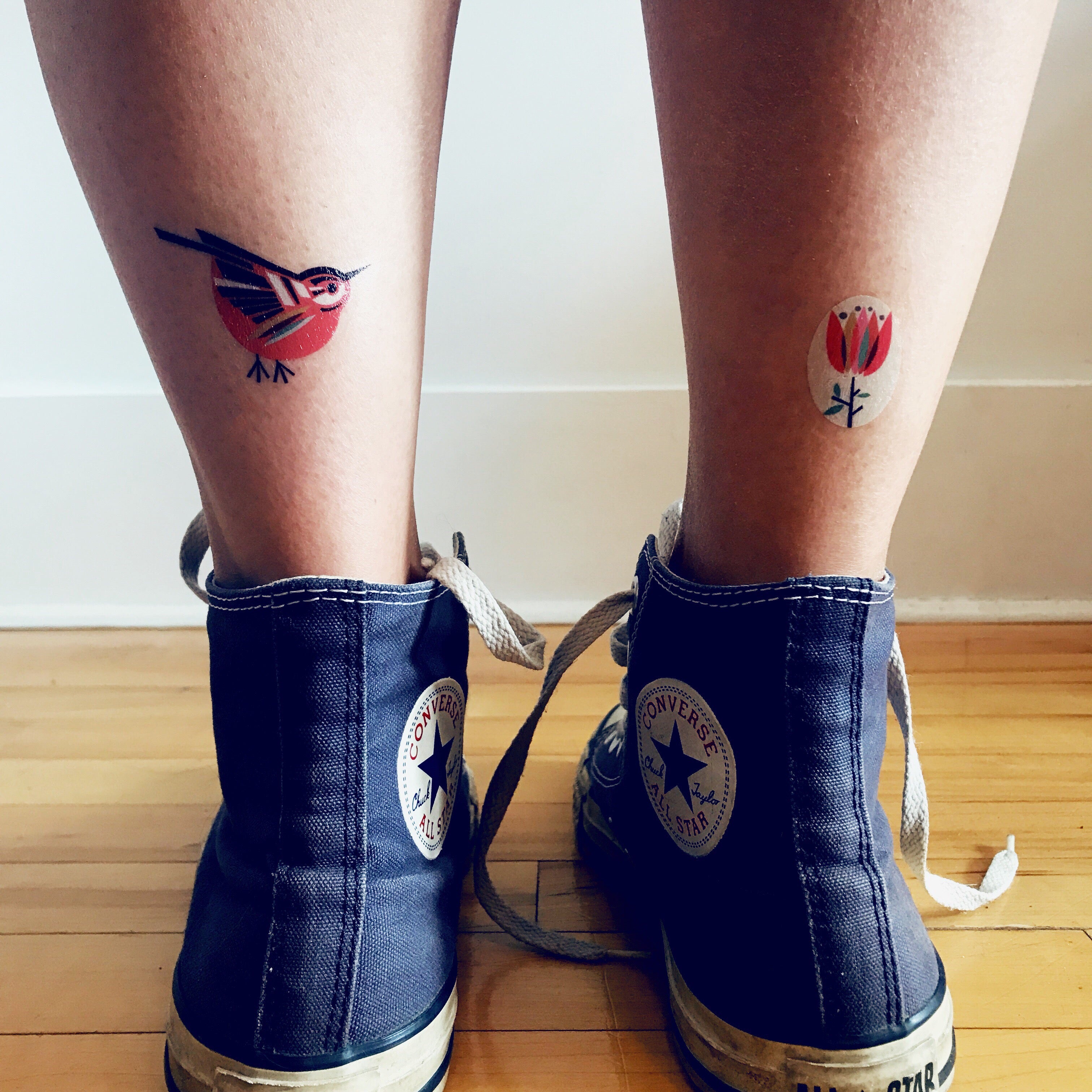 The Birds