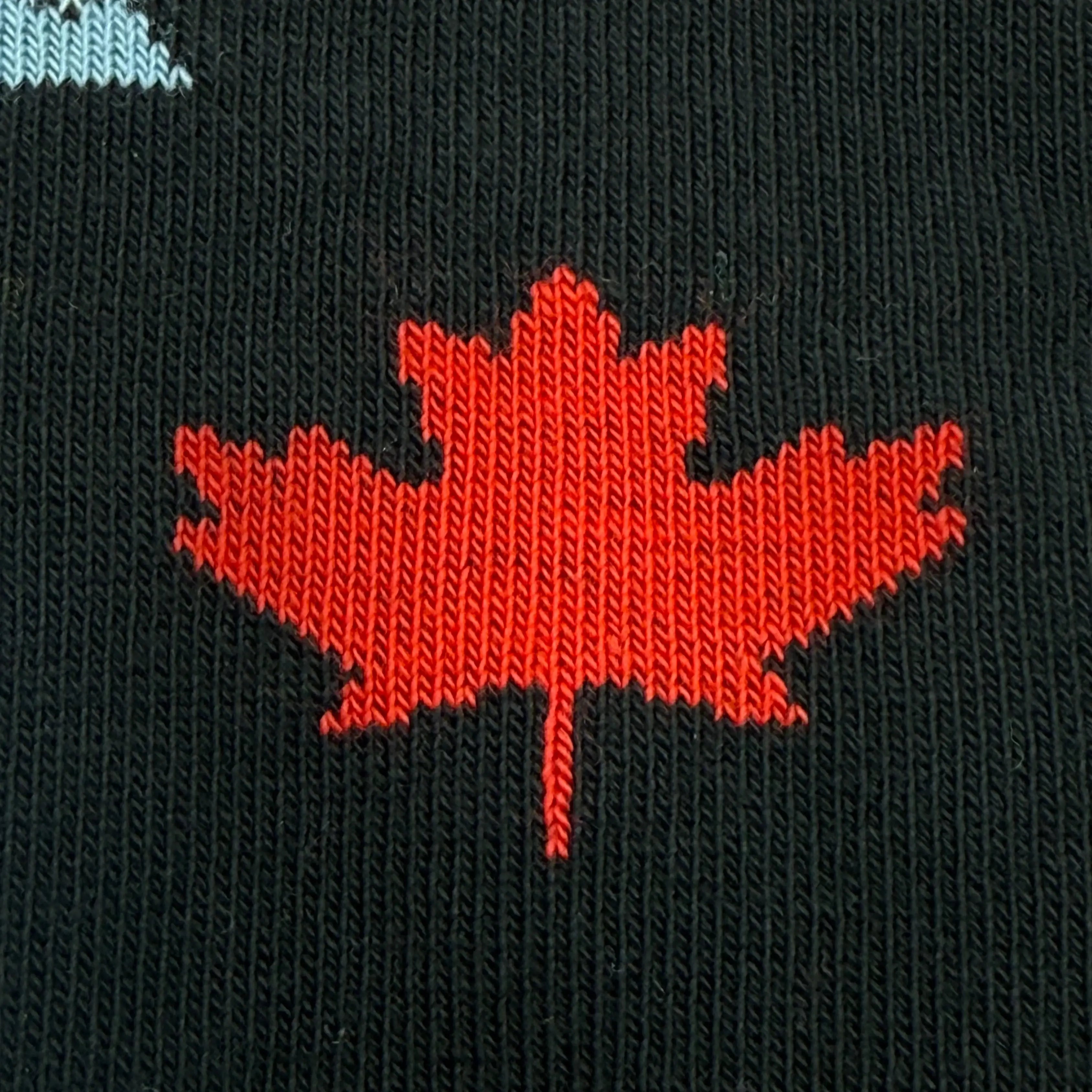 Friday Sock Co. - Chaussettes à icônes Canada pour enfants