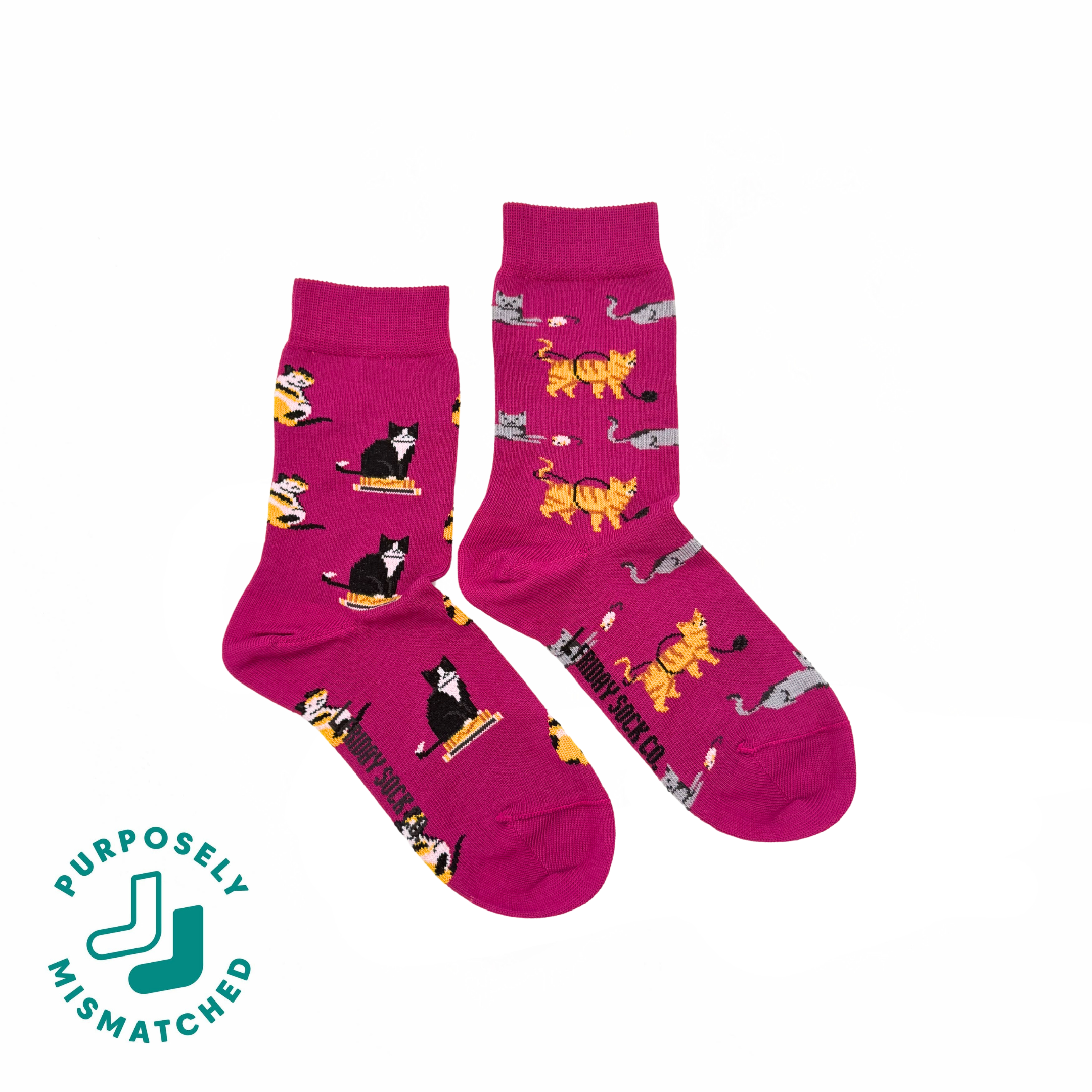 Friday Sock Co. - Chaussettes Chats Enfant: Moyen (Âge 4-7)