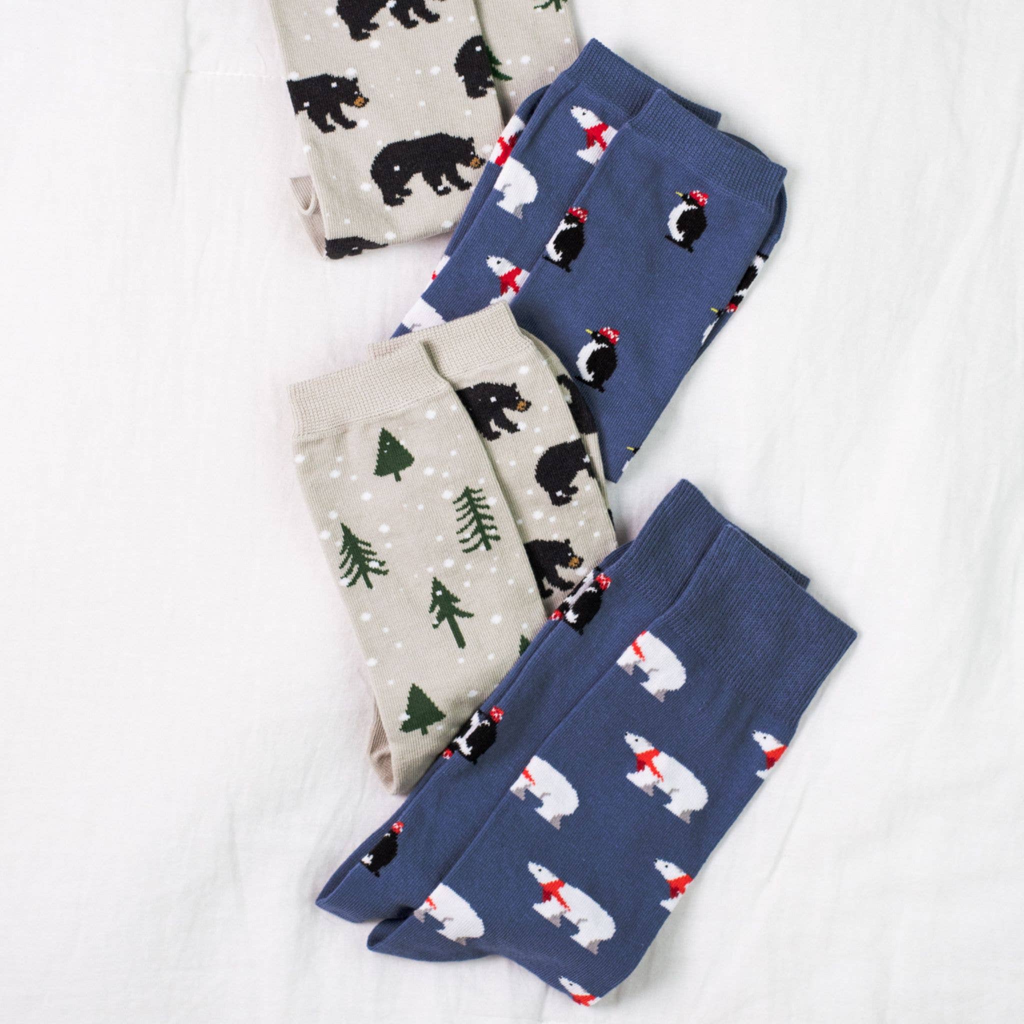 Chaussettes Bear & Tree pour hommes, édition limitée des fêtes