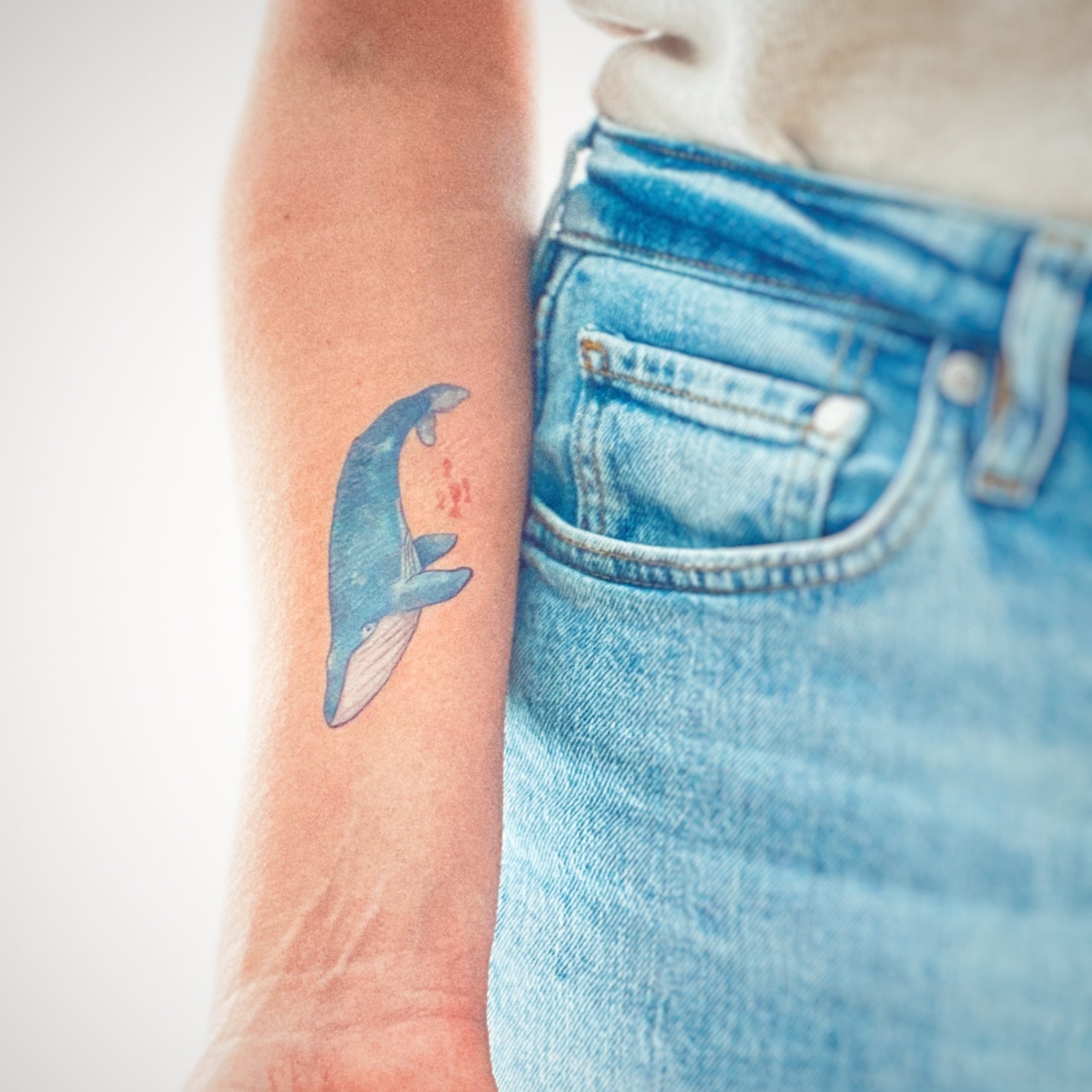Tatouage temporaire rorqual -Les Baleines par Les tatoués